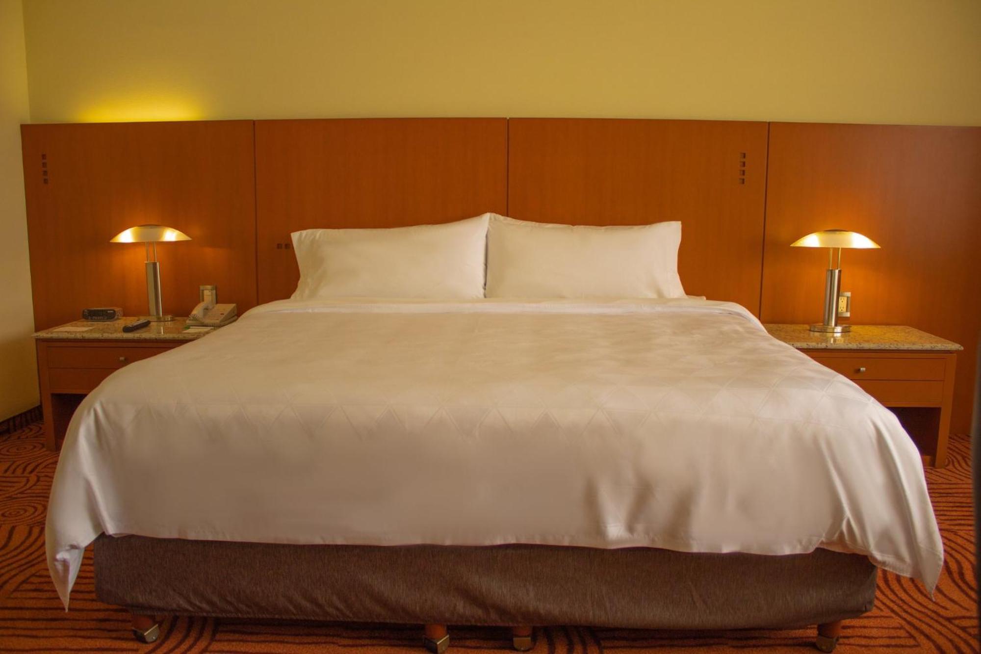 Finsa, An Ihg Heroica Puebla de Zaragoza